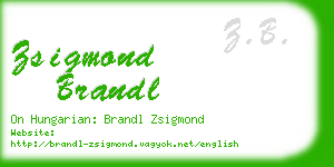 zsigmond brandl business card